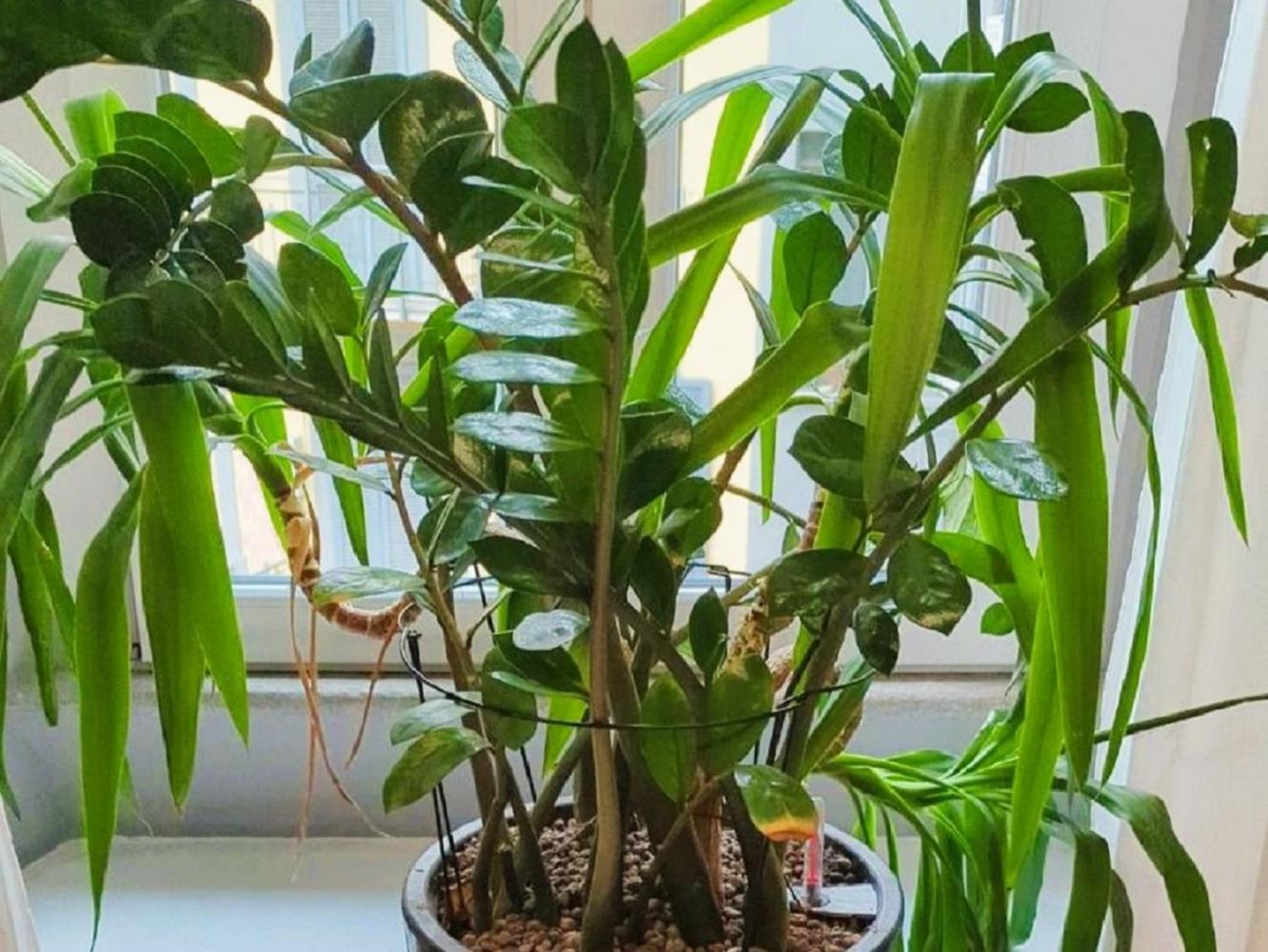 Elegant In Center Apartamento